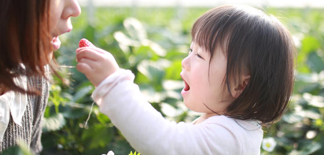 自然と科学で、農の未来を耕す